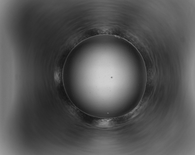 X0000093420090200710121151