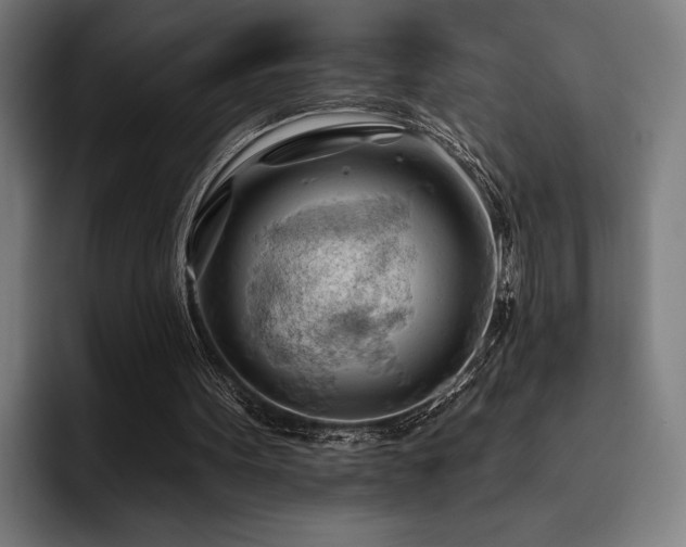 X0000093420099200710121151