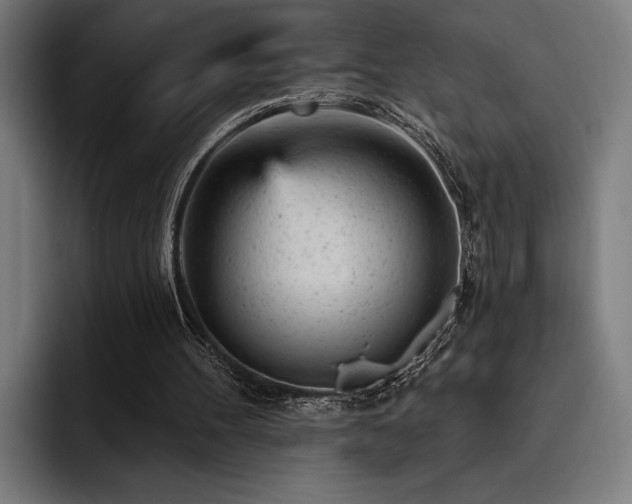 X0000093420100200710121151