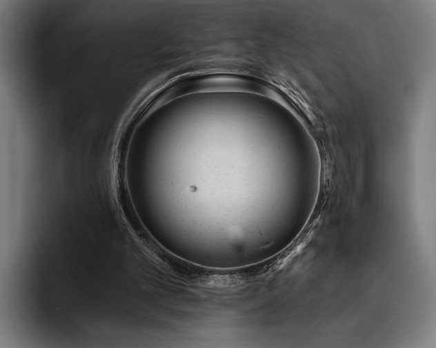 X0000093420101200710121151