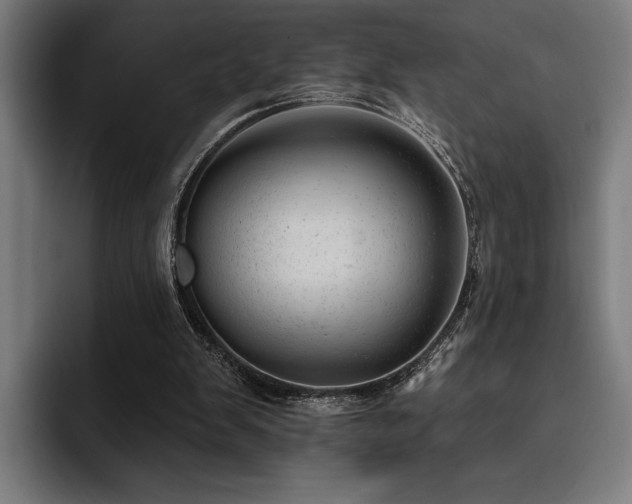 X0000093420103200710121151