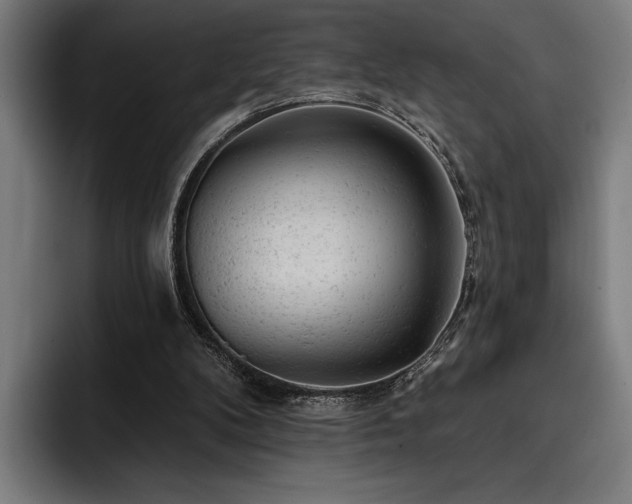 X0000093420104200710121151