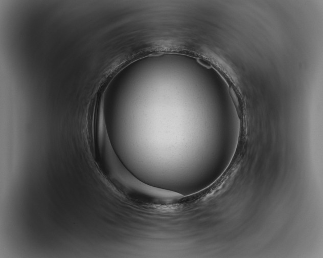 X0000093420105200710121151