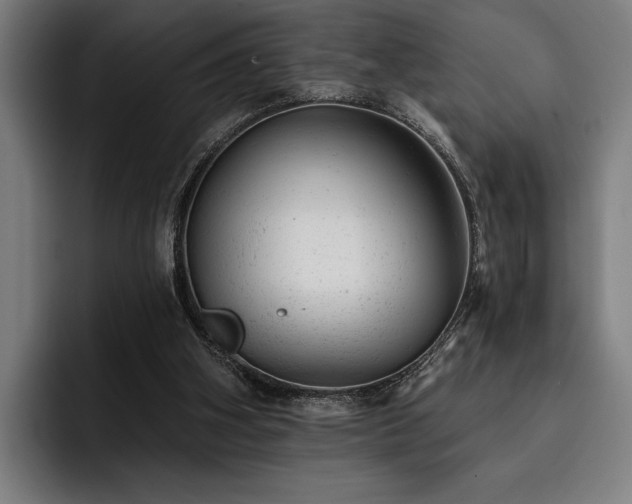 X0000093420106200710121151