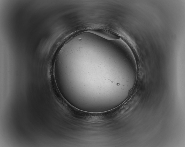 X0000093420107200710121151
