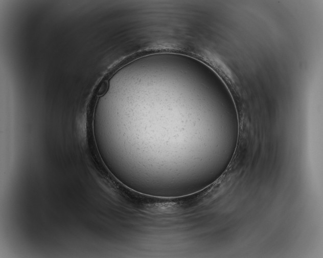X0000093420108200710121151