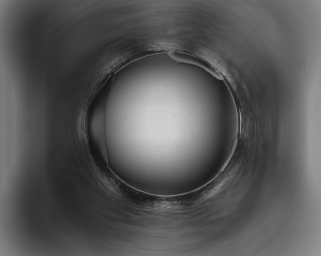 X0000093420109200710121151