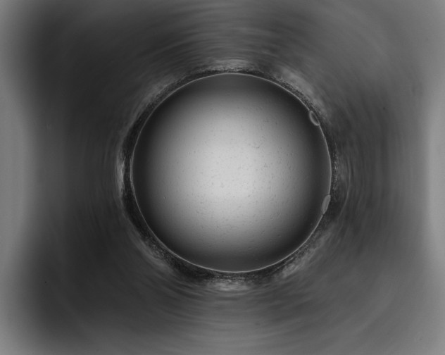 X0000093420110200710121151