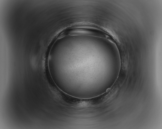 X0000093420111200710121151