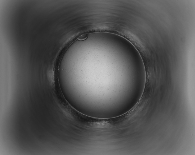 X0000093420112200710121151