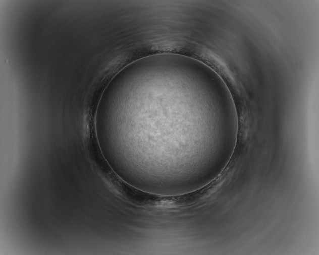 X0000093420114200710121150