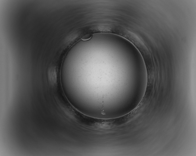 X0000093420120200710121150