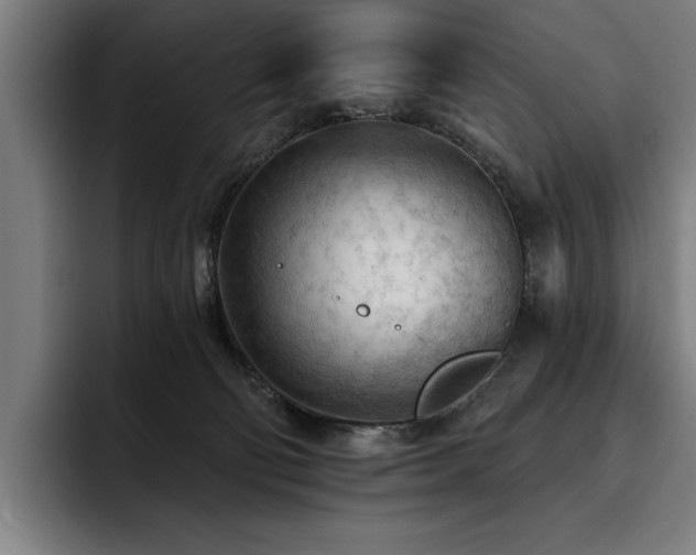 X0000093420130200710121150
