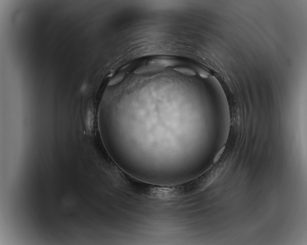 X0000093420139200710121150