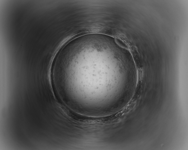 X0000093420147200710121150