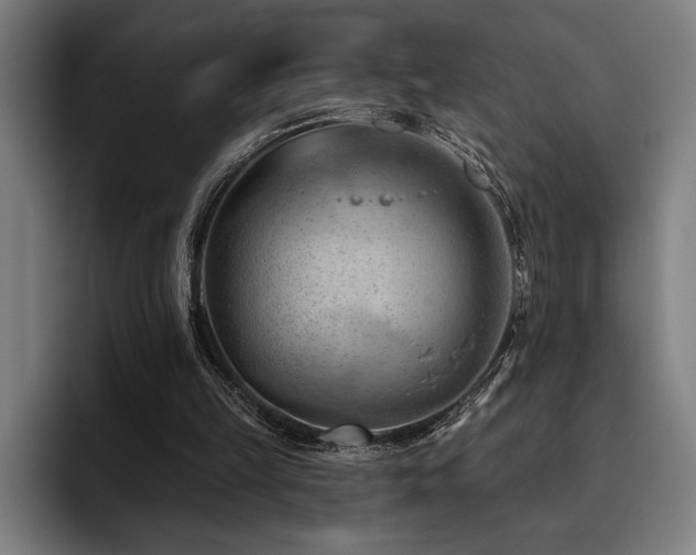 X0000093420149200710121150