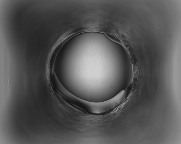 X0000093420150200710121150