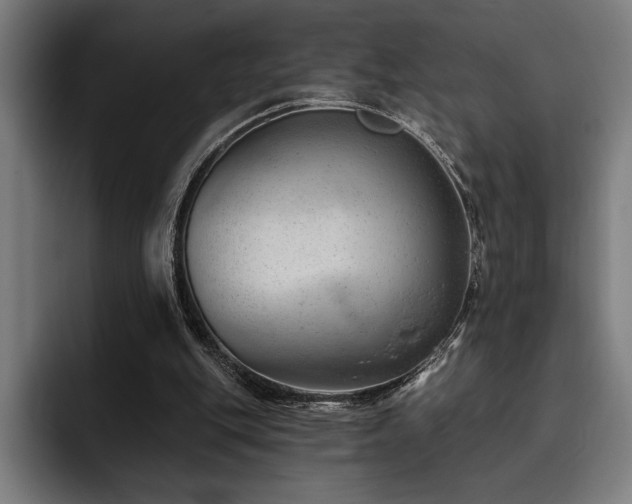 X0000093420151200710121150