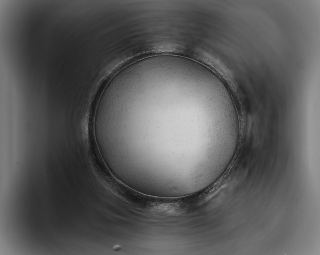 X0000093420155200710121150