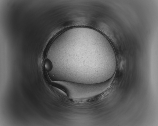 X0000093420156200710121150