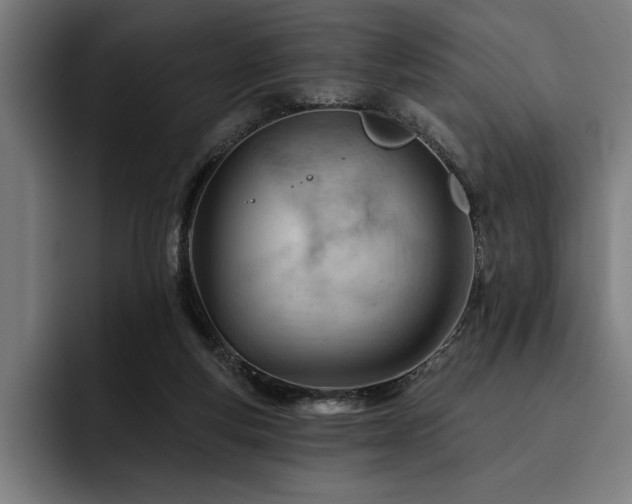 X0000093420163200710121150