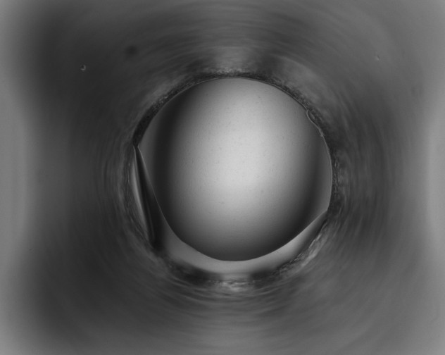 X0000093420164200710121150