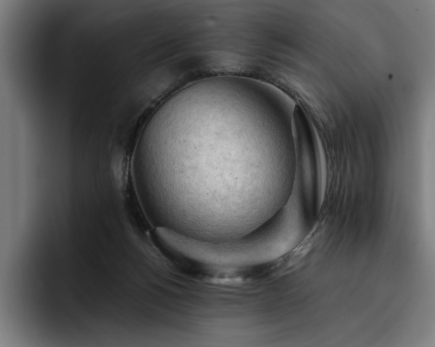 X0000093420168200710121150