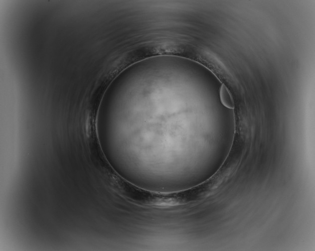 X0000093420169200710121150