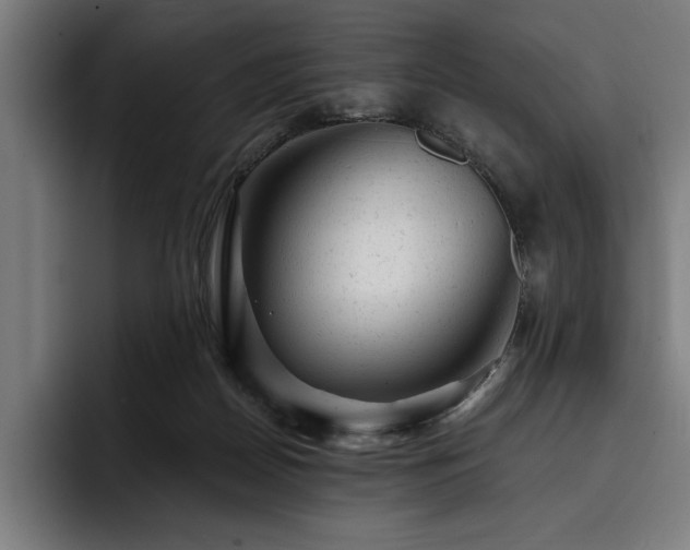 X0000093420170200710121150