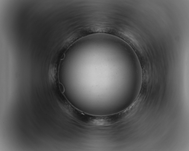 X0000093420171200710121150