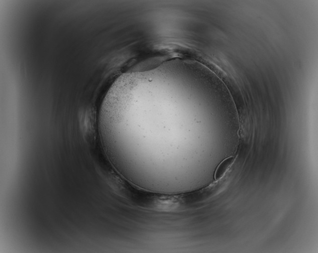 X0000093420175200710121150