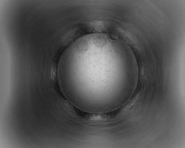 X0000093420177200710121150