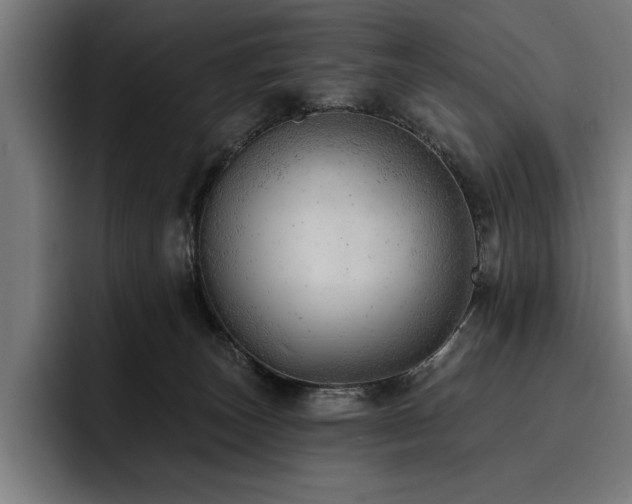 X0000093420179200710121150