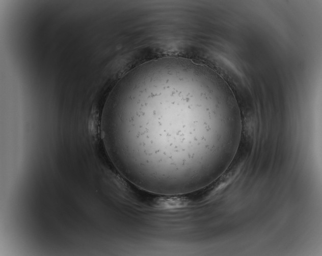X0000093420181200710121150