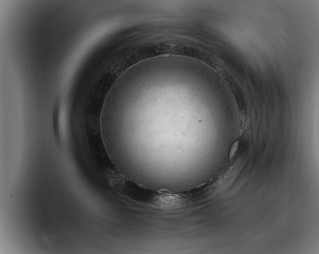 X0000093420189200710121150