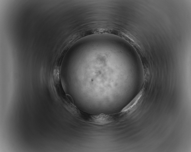 X0000093420191200710121150
