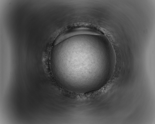 X0000093420192200710121150