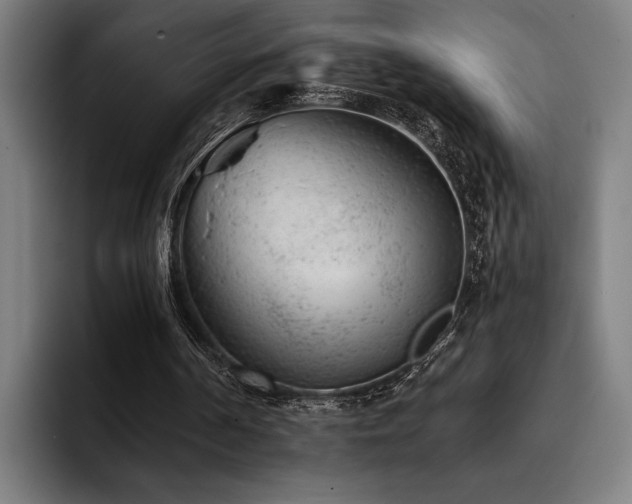 X0000093420194200710121150