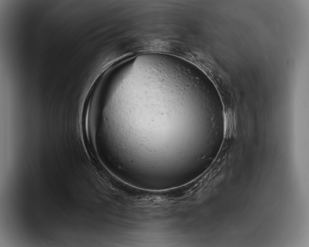 X0000093420195200710121150