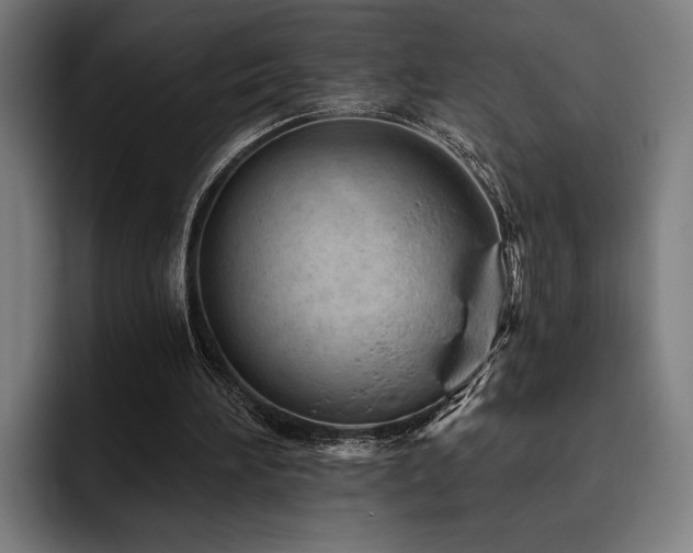 X0000093420196200710121150