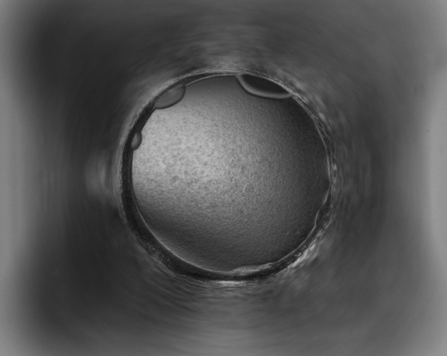 X0000093420200200710121149