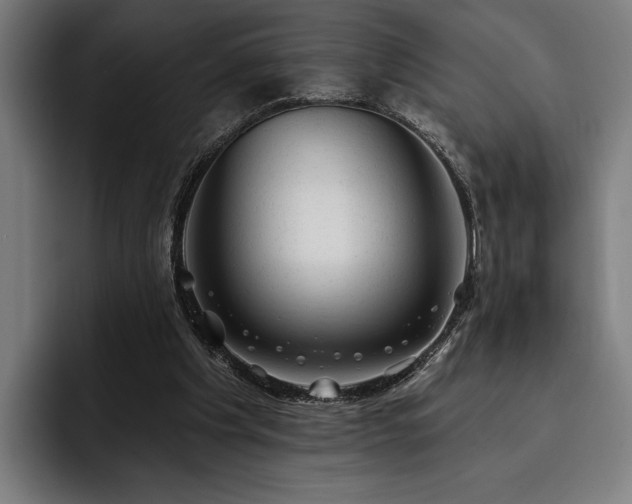 X0000093420201200710121149