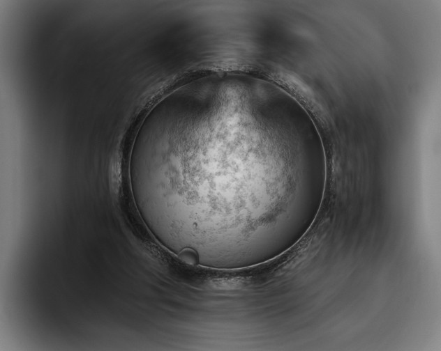 X0000093420202200710121149