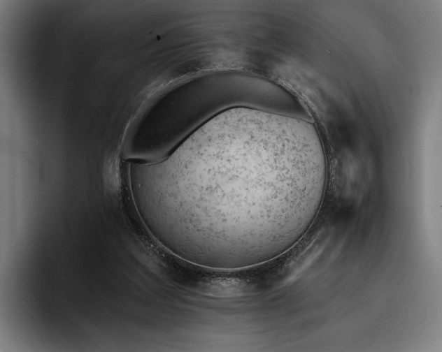 X0000093420203200710121149