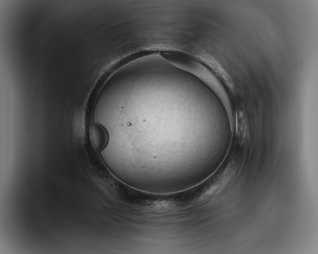 X0000093420204200710121149