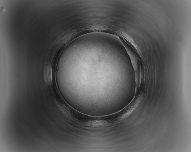 X0000093420205200710121149