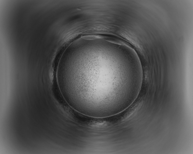 X0000093420206200710121149