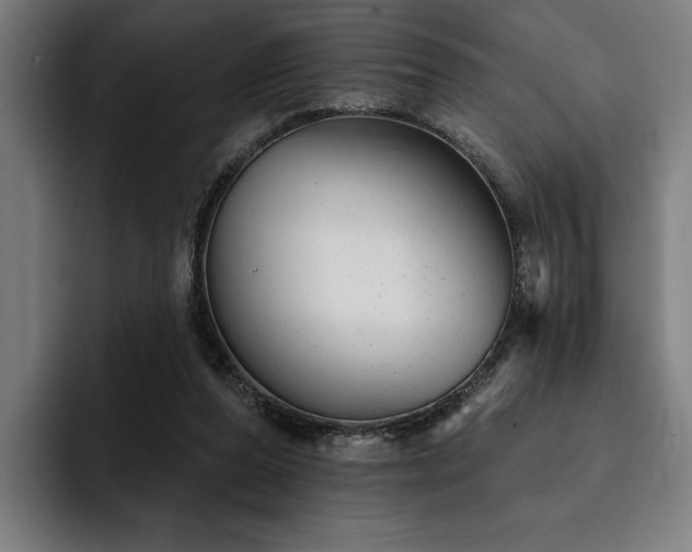 X0000093420208200710121149