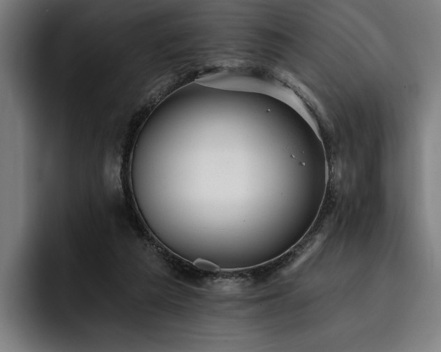 X0000093420209200710121149