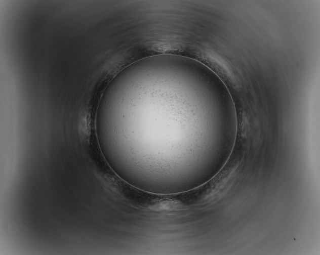 X0000093420210200710121149